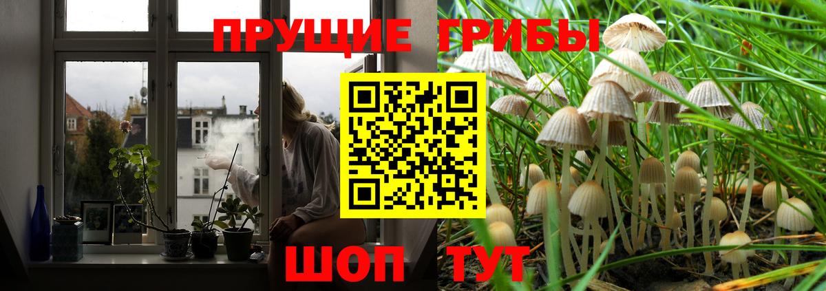 Мирный  Псилоцибиновые грибы мухоморы  Вход с VPN 