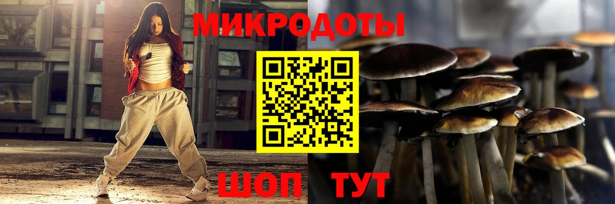 Псилоцибиновые грибы мухоморы Мирный
